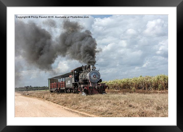  Steam Train and the Sugar Cane Fields Framed Mounted Print by Philip Pound