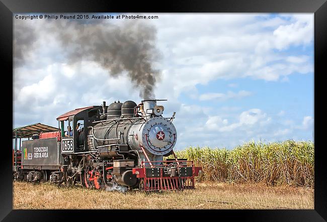  Steam Train and the Sugar Cane Fields in Cuba Framed Print by Philip Pound