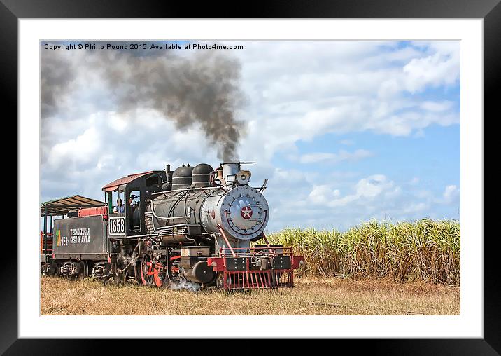  Steam Train and the Sugar Cane Fields in Cuba Framed Mounted Print by Philip Pound