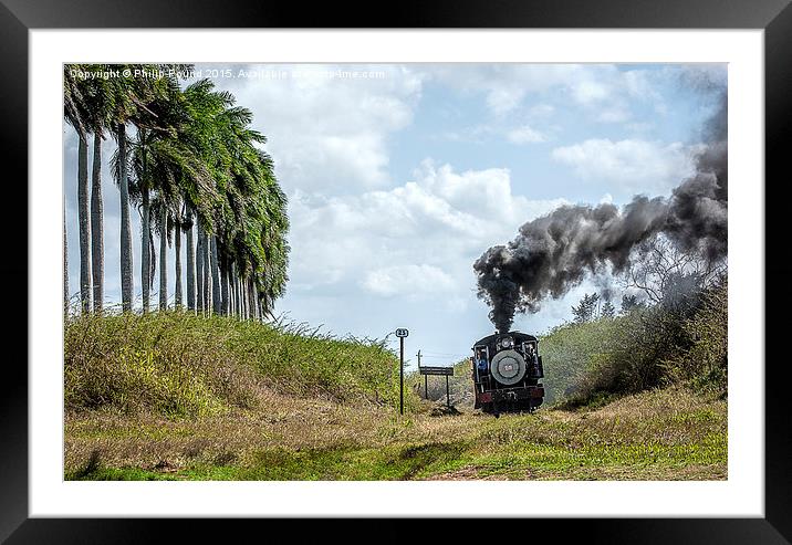  Steam Train and the Royal Palm Trees in Cuba Framed Mounted Print by Philip Pound