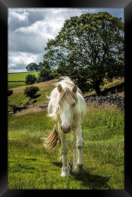 White Horse in the Peak District Framed Print by Philip Pound