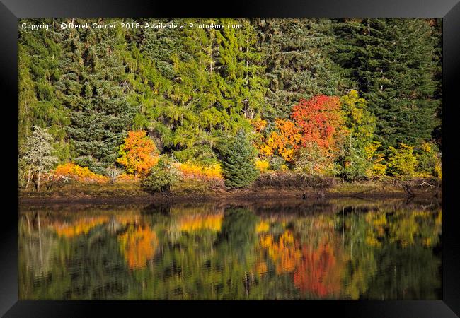 Autumn in Strathconon Framed Print by Derek Corner