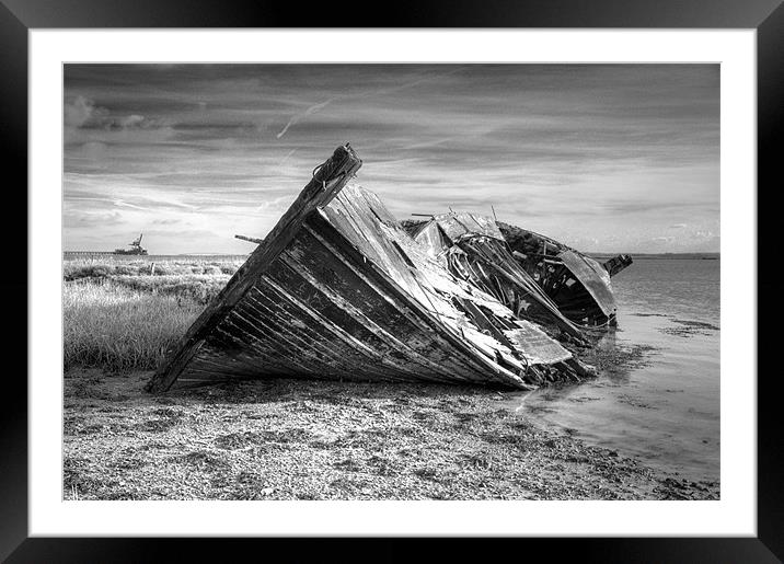 Tyrannosaurus Wrecks Framed Mounted Print by Brian Fuller