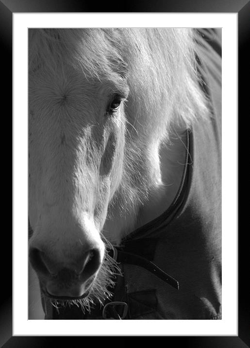 The White Horse Framed Mounted Print by Brian Fuller