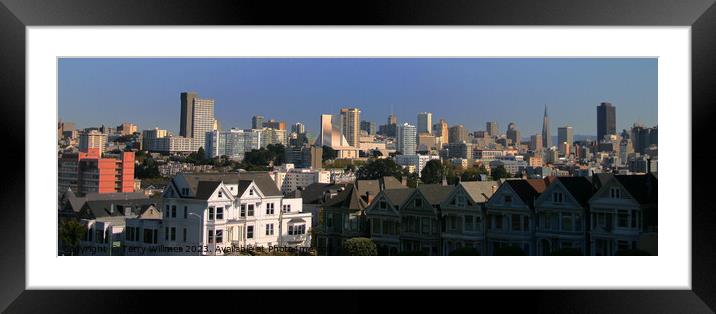 Painted Ladies Framed Mounted Print by Terry Willmer