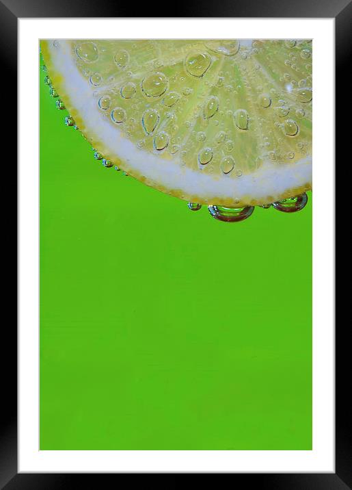 Lemon & Lime Framed Mounted Print by mike Davies