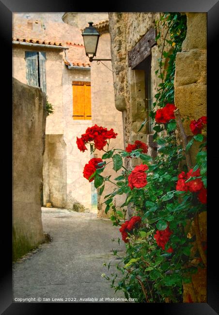 Rose Adorned Lane in Southern France Framed Print by Ian Lewis