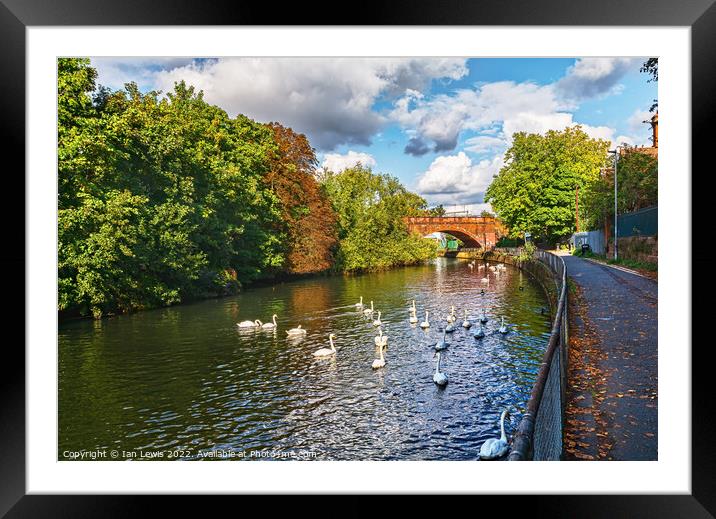 Autumn at Kennetside in Reading Framed Mounted Print by Ian Lewis
