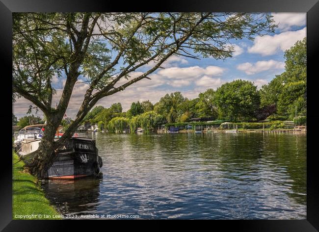 By Mill Meadows at Henley on Thames Framed Print by Ian Lewis