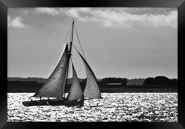 Sailing Home Framed Print by Ian Lewis