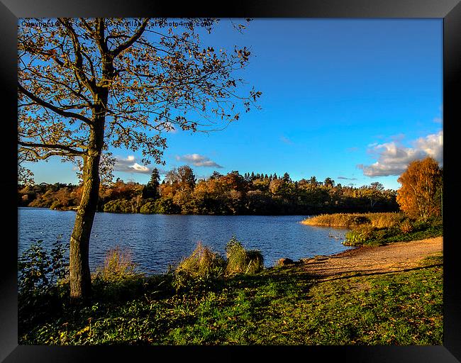 Autumn By The Lake Framed Print by Ian Lewis
