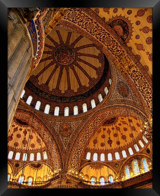 The Blue Mosque Istanbul Framed Print by Ian Lewis