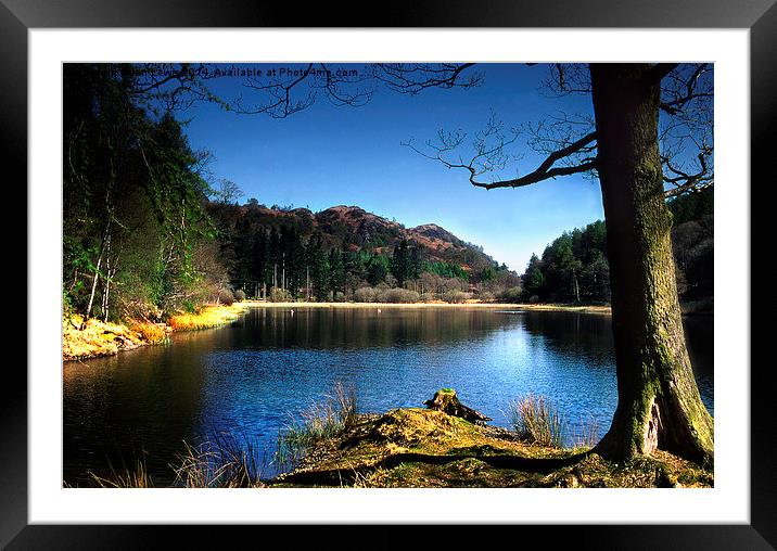 Yew Tree Tarn Framed Mounted Print by Ian Lewis