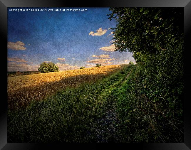  Path By The Field Framed Print by Ian Lewis