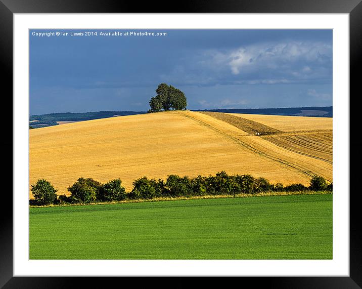  Tree On The Hill Framed Mounted Print by Ian Lewis