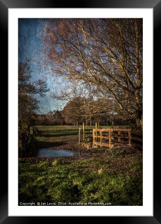 The Path To Tidmarsh Framed Mounted Print by Ian Lewis
