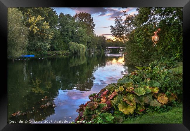 The Thames At Pangbourne Framed Print by Ian Lewis