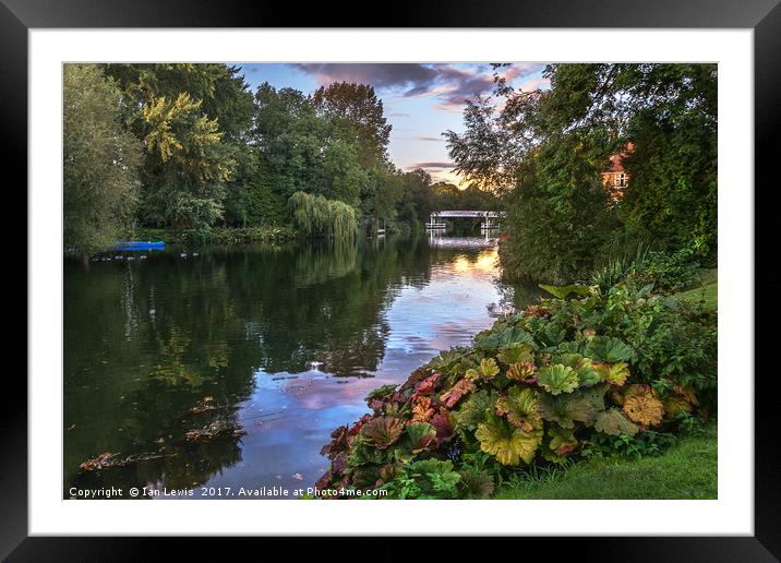 The Thames At Pangbourne Framed Mounted Print by Ian Lewis