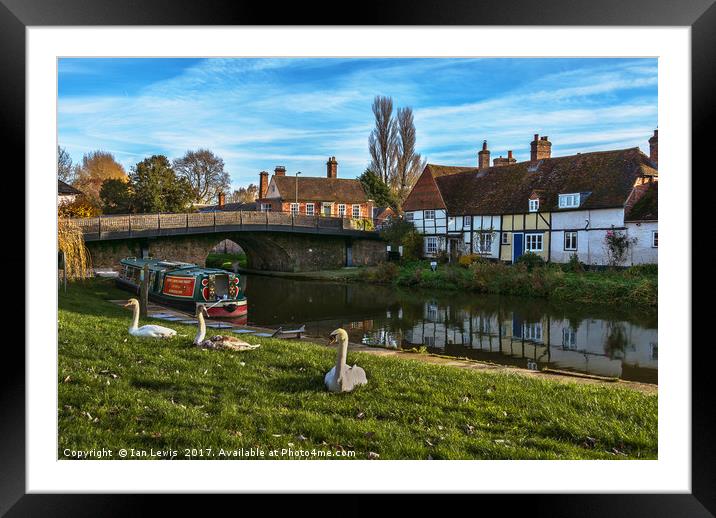 The Swan Family Visiting Hungerford Framed Mounted Print by Ian Lewis