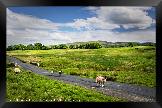 The Road To Caldbeck Framed Print by Ian Lewis