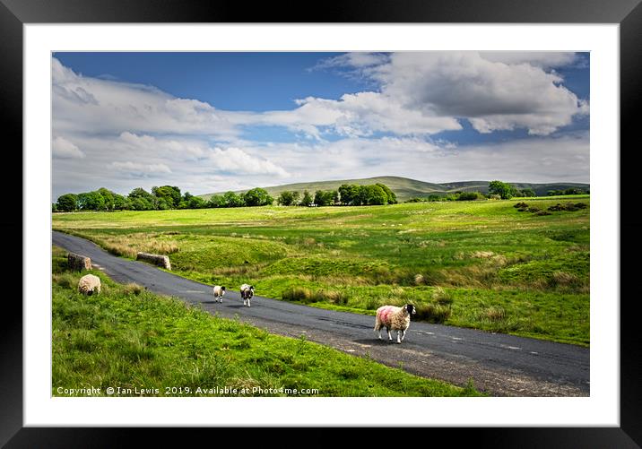 The Road To Caldbeck Framed Mounted Print by Ian Lewis