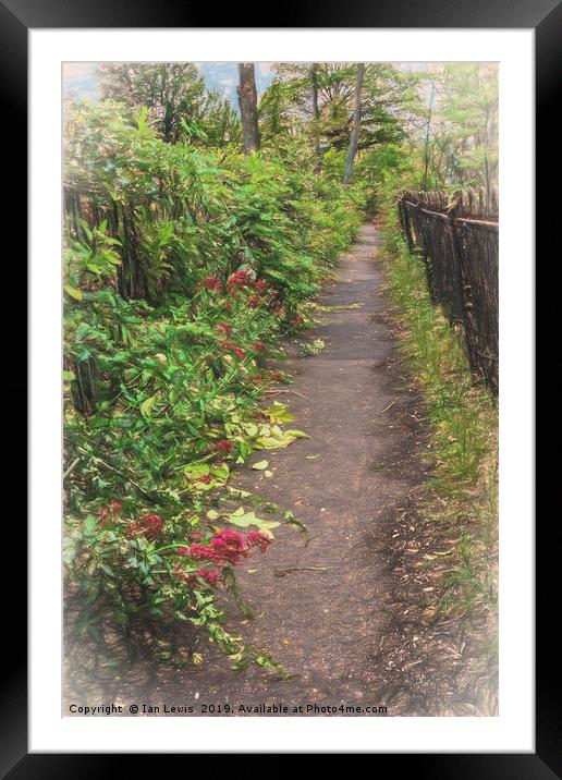 Footpath Framed Mounted Print by Ian Lewis