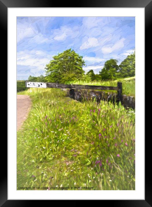 Lock In A Meadow Digital Art Framed Mounted Print by Ian Lewis