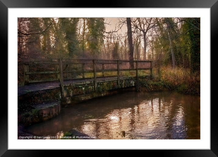 Woodland Bridge Over The River Pang Framed Mounted Print by Ian Lewis