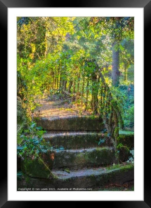 Garden Steps Framed Mounted Print by Ian Lewis