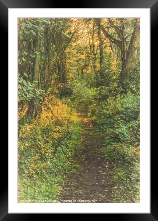 A Woodland Path Framed Mounted Print by Ian Lewis