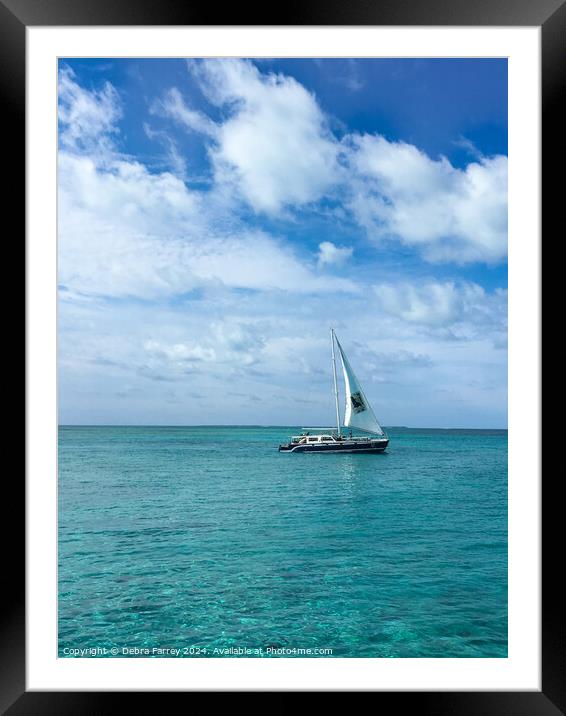 Caribbean Blue Framed Mounted Print by Debra Farrey
