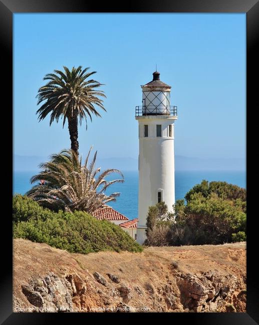 PT Vincente Lighthouse Framed Print by Debra Farrey