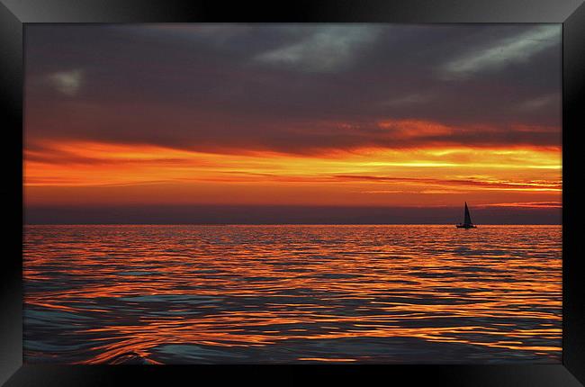  Sunset Sailing Framed Print by Debra Farrey