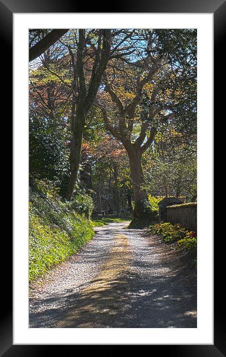 leafy walk Framed Mounted Print by keith sutton