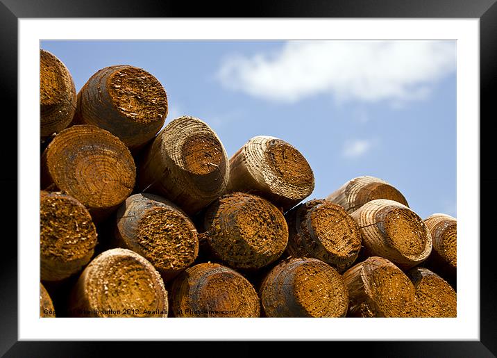 Logs Framed Mounted Print by keith sutton