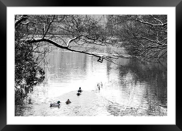 winters pond Framed Mounted Print by keith sutton