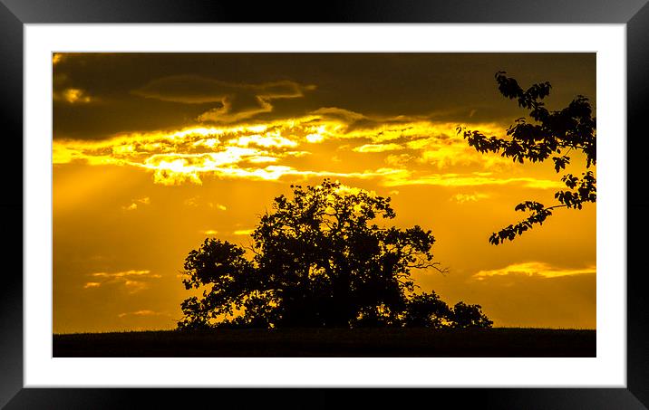  golden sky Framed Mounted Print by keith sutton