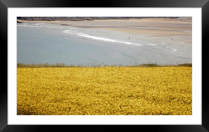 corn marigolds Framed Mounted Print by keith sutton