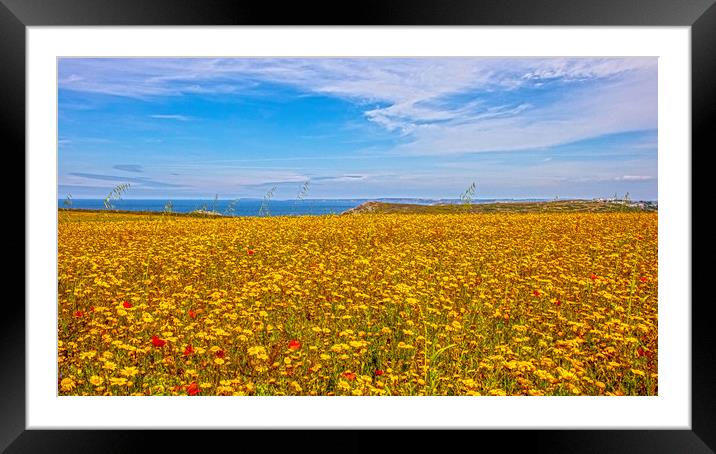 yellow and blue Framed Mounted Print by keith sutton