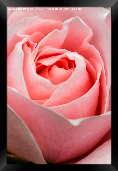 Folds of Beauty Framed Print by Dave Cullen