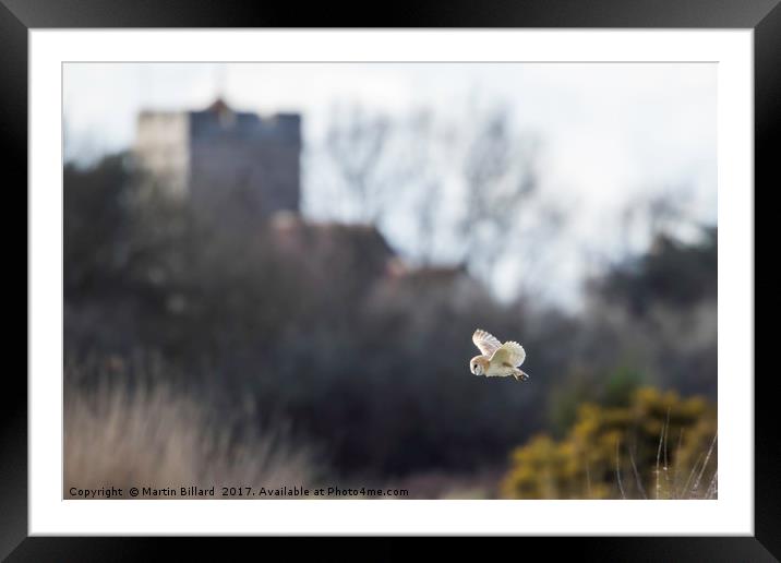 Barn Owl and the Church Framed Mounted Print by Martin Billard