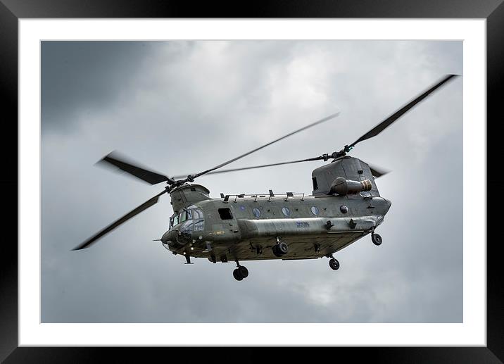  RAF Chinook helicopter Framed Mounted Print by Andrew Richards