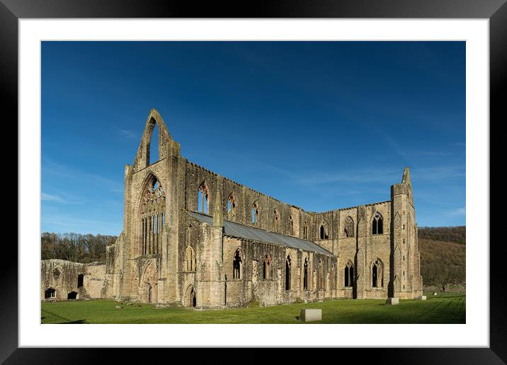 Tintern Abbey Framed Mounted Print by Andrew Richards