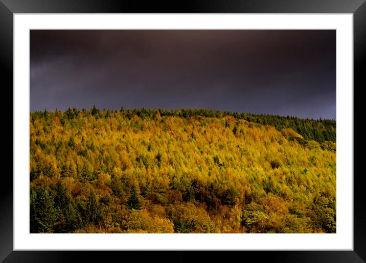 Autumn in Cwmcarn Framed Mounted Print by Andrew Richards