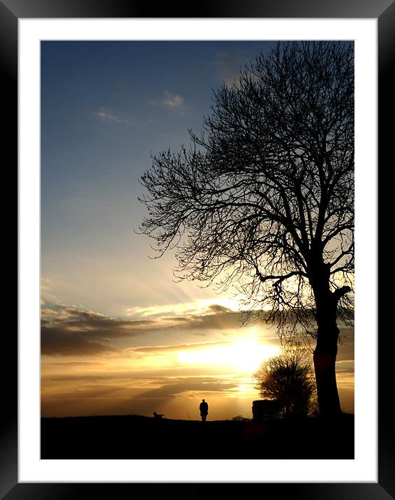 Man And Dog Silhouette Framed Mounted Print by Noreen Linale