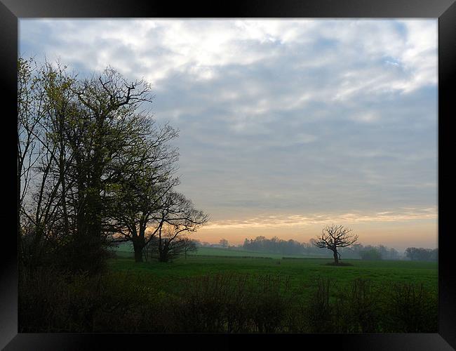 Bobbingworth Morning Framed Print by Noreen Linale