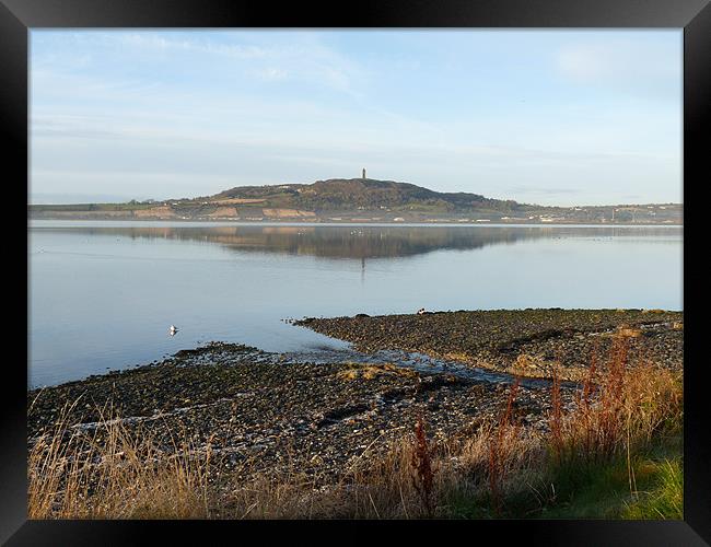 Scrabo View Framed Print by Noreen Linale