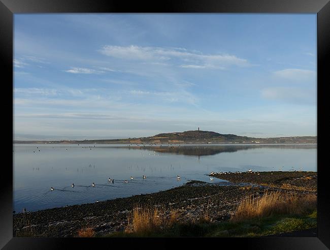 Scrabo Framed Print by Noreen Linale