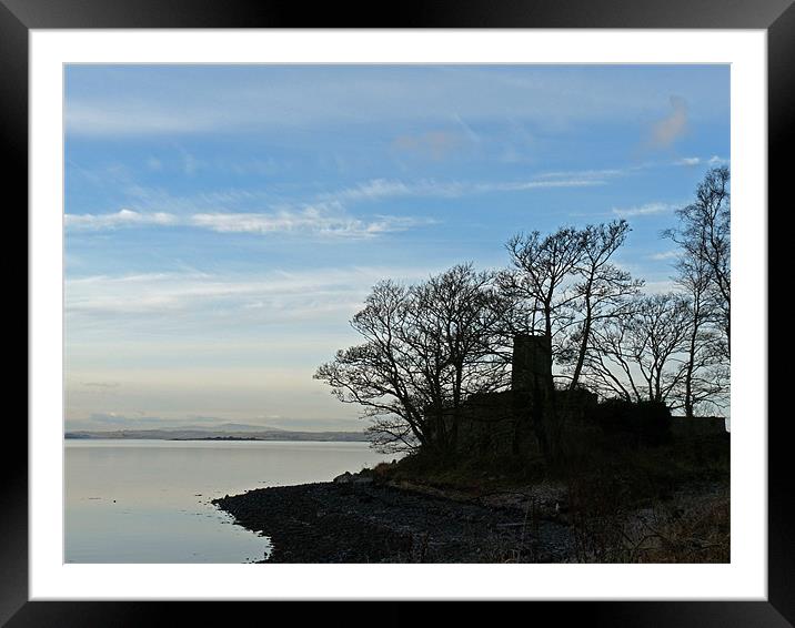 Morning on Strangford Lough Framed Mounted Print by Noreen Linale