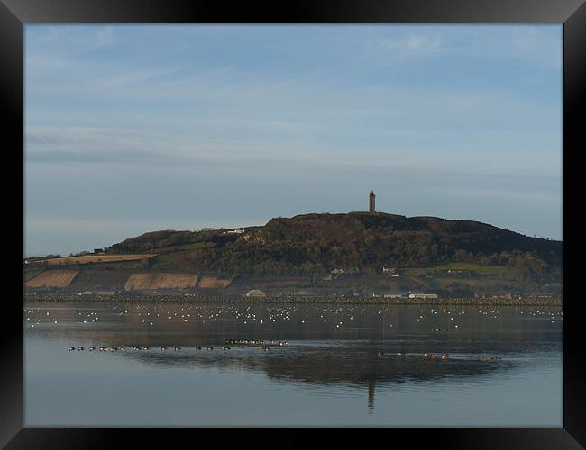 Scrabo Tower Framed Print by Noreen Linale